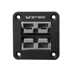 TWIN ANDERSON STYLE FLUSH MOUNT