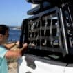 PRO BED TAILGATE NET - Image 6